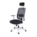 Canto SP White - ergonomická stolička biela s podhlavnikom