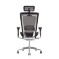 Office Pro LACERTA - ergonomická kancelárska stolička , Farba modrá