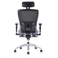 Office Pro Halia Mesh SP - ergonomická stolička s opierkou hlavy , Farba modrá