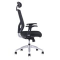 Office Pro Halia Mesh SP - ergonomická stolička s opierkou hlavy , Farba modrá
