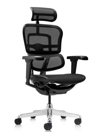 Ergohuman 2 Ultra - kancelárska ergonomicka  stolička