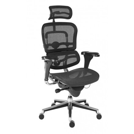 antares Ergohuman - ergonomické kreslo , Farba sedák-čierna sieťovina