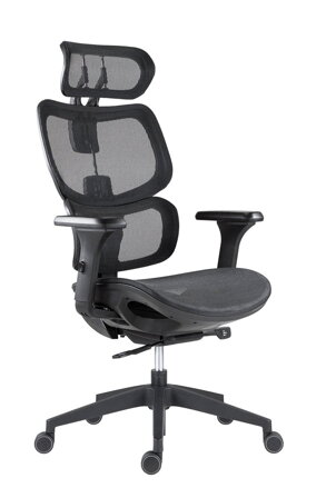 antares Etonnant - ergonomická kancelárska stolička, Farba Čierna sieťovina