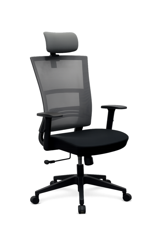 NN1 - ergonomická kancelárska stolička