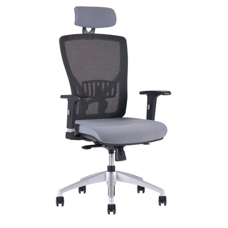Office Pro Halia Mesh SP - ergonomická stolička s opierkou hlavy , Farba modrá